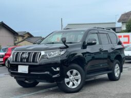 2019 TOYOTA LAND CRUISER PRADO TX full