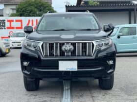 2019 TOYOTA LAND CRUISER PRADO TX