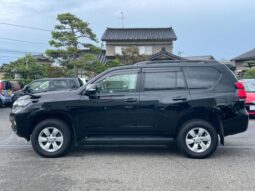 2019 TOYOTA LAND CRUISER PRADO TX full