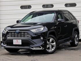 2019 Toyota RAV4 Import to Kenya