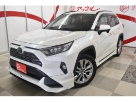 2019 Toyota RAV4 Import to Kenya