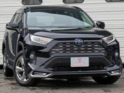 2019 Toyota RAV4 Import to Kenya full