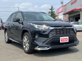 2019 Toyota RAV4 Import to Kenya