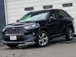 2019 Toyota RAV4 Import to Kenya full