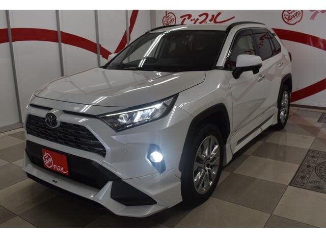 2019 Toyota RAV4 Import to Kenya full