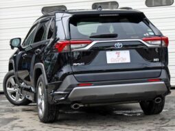 2019 Toyota RAV4 Import to Kenya full