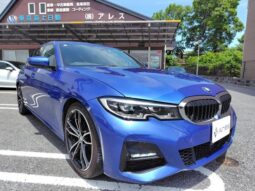 2019 BMW 3 Series For Sale in Kenya full