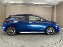 2019 NISSAN LEAF AUTECH For Sale In Kenya full