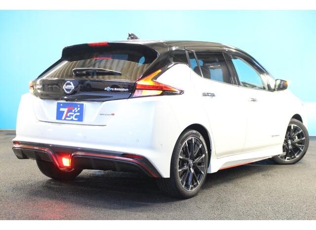 2020 NISSAN LEAF NISMO For Sale in Kenya full