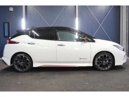 2020 NISSAN LEAF NISMO For Sale in Kenya full