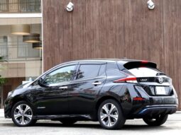 2019 NISSAN LEAF e+ G For Sale In Kenya full