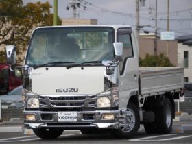 2018 Isuzu Elf Truck For Sale in Kenya