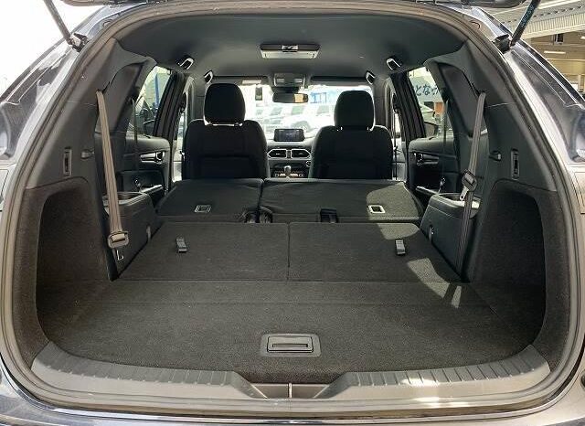 2019 Mazda CX-8 For Sale in Kenya full