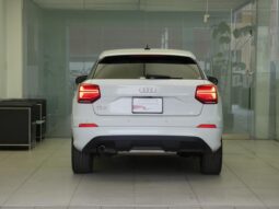 2020 AUDI Q2 For Sale In Kenya full