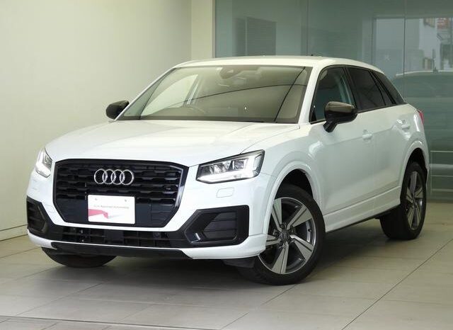 2020 AUDI Q2 For Sale In Kenya full