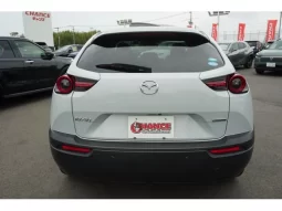 2020 MAZDA MX-30 BASE GRADE FOR SALE full