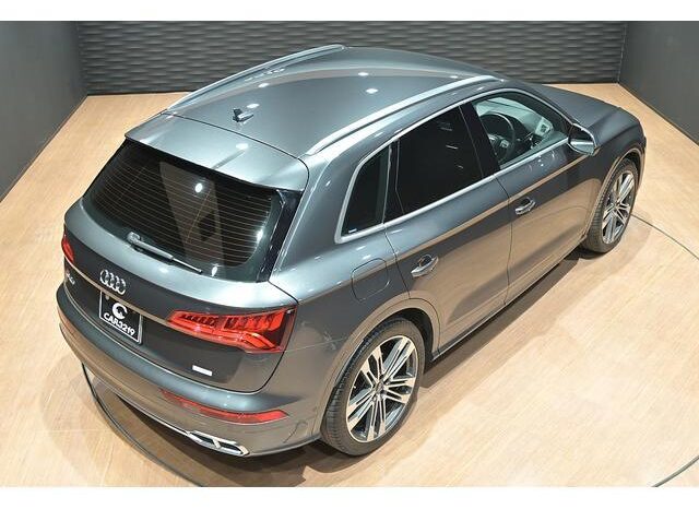 2019 AUDI SQ5 For Sale In Kenya full