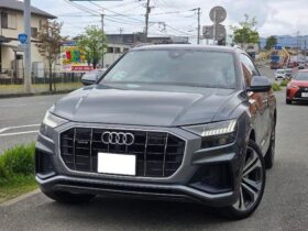 2019 AUDI Q8 55TFSI QUATTRO For Sale in Nairobi Kenya