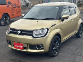 2019 Suzuki Ignis For Sale in Kenya